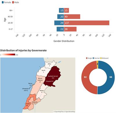 Characteristics of injuries during the 2006 Lebanon conflict: a three-center retrospective study of survivors, 16 years after the conflict